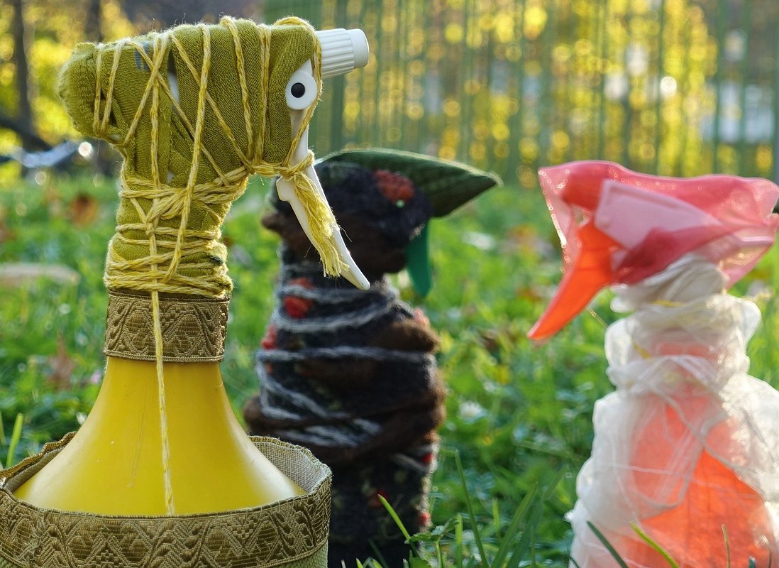 3  Friedliche Störer